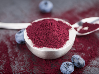 Blueberry 4:1