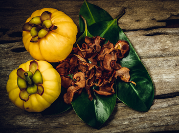 Garcinia Cambogia Ext.