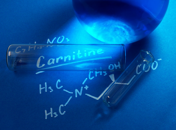 L-Carnitine Base
