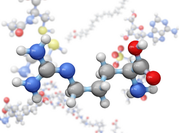 L-arginine HCL L-精氨酸