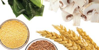 What is β-Glucan？